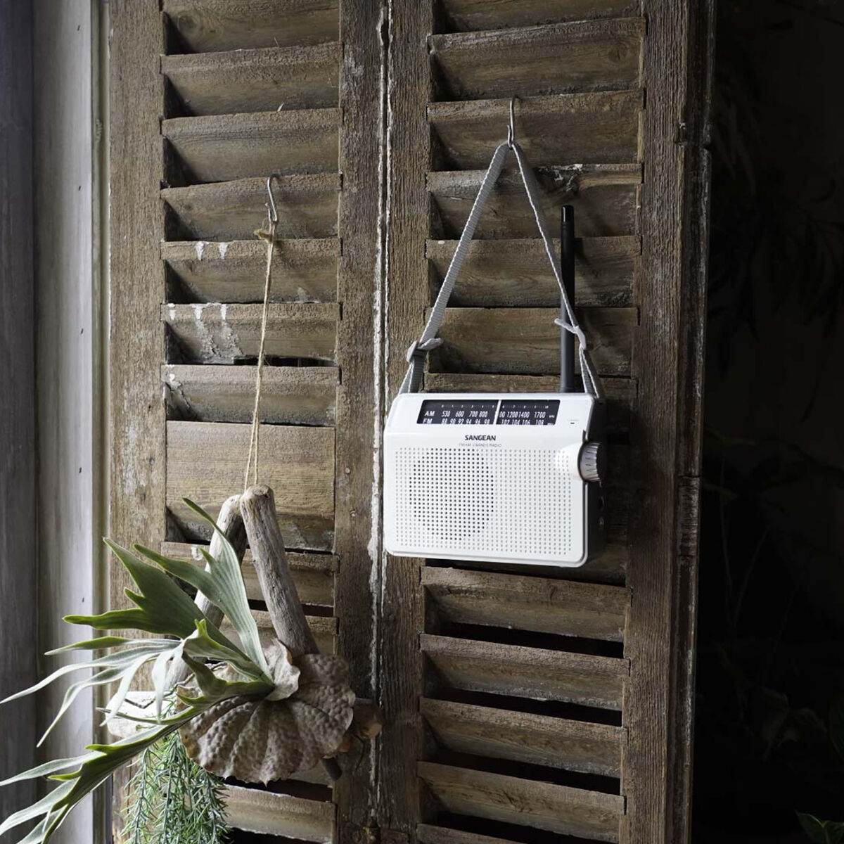 Radio AM / FM Sangean Alb